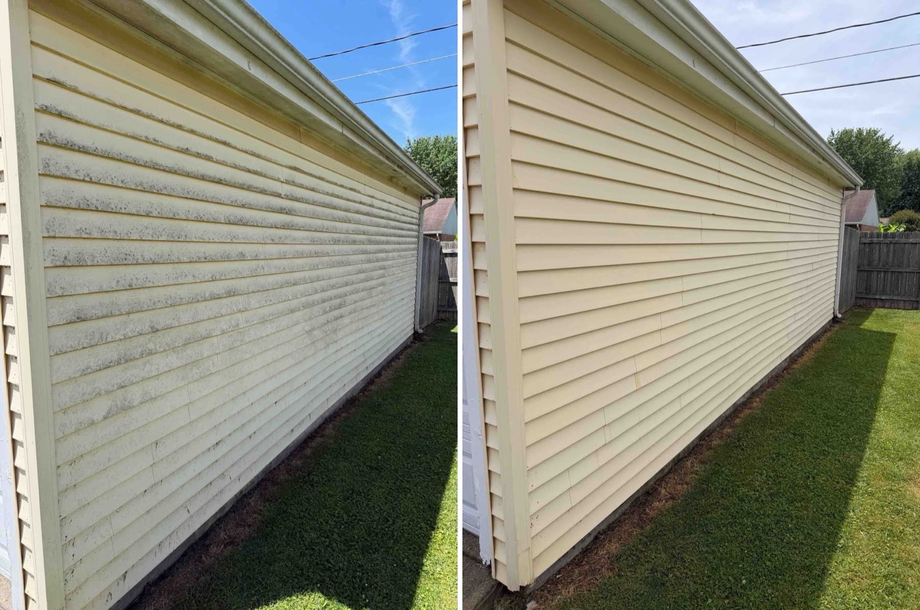 Before and after of algae-covered yellow siding restored with a house wash